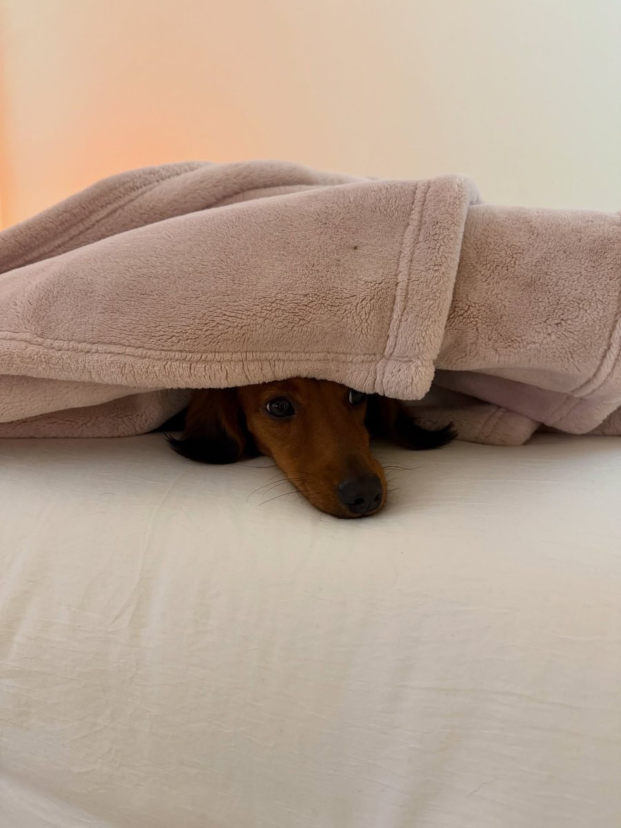 Que cosita más linda 😍✨