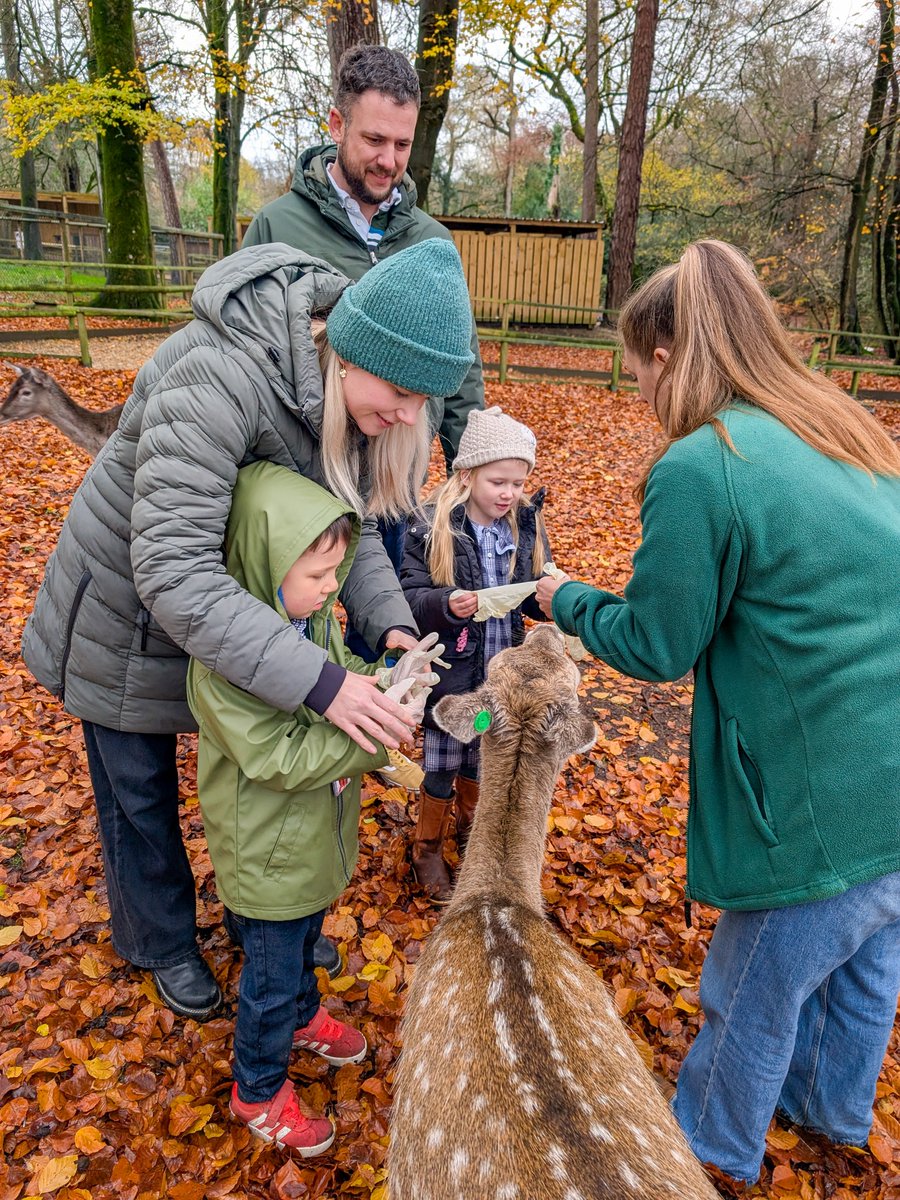 HantsTopDaysOut tweet media