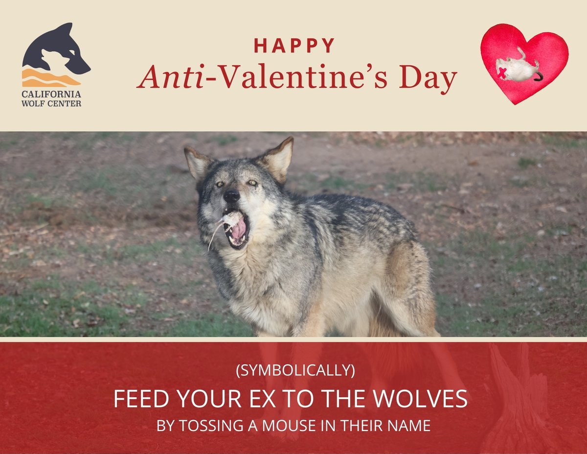 California Wolf Center tweet media