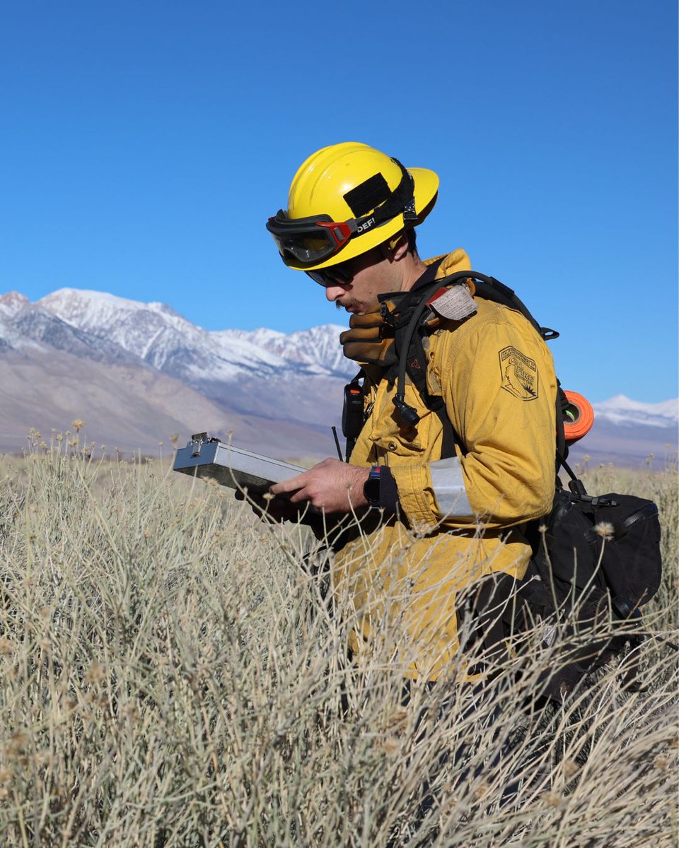 CAL_FIRE's tweet photo. This is #GoodFire at work in Inyo County.
Through CAL FIRE’s Vegetation Management Program, firefighters with the CAL FIRE San Bernardino/Inyo/Mono Unit recently worked on a 1,400-acre fuel-reduction project near Independence.
The reduced vegetation that could fuel wildfire, removed invasive plants, and restored wildlife habitat to help lower wildfire risk and protect nearby communities.
CAL FIRE engages in fuels reduction work and fire prevention activities year-round.
Track the progress of projects at: https://t.co/5c7xMI1MS1
#CALFIRE #FuelsReduction #InyoCounty #RxFire