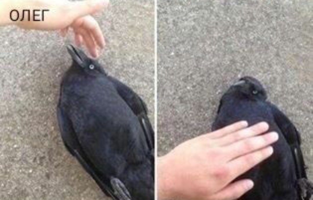 Кто-то слил ваши фото.