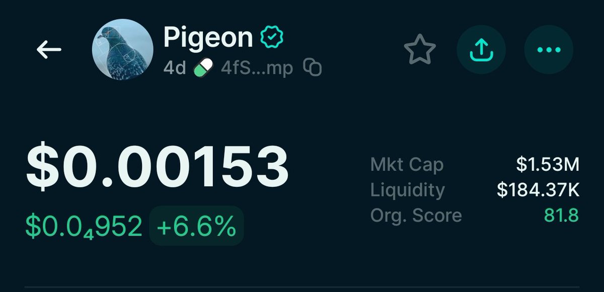 remember this 

am shilling you hard $PIGEON at below 2M mcap lads.

<a href="/level941/">941</a>  you are a hell of a chad.🗿