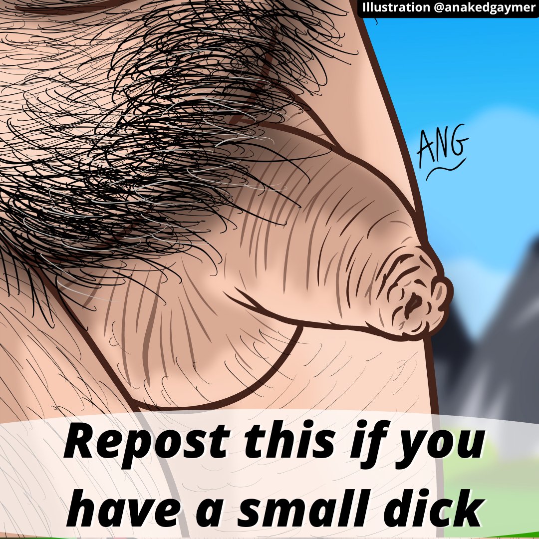 Big Belly Brazil (@bigbellybrazil) on Twitter photo 