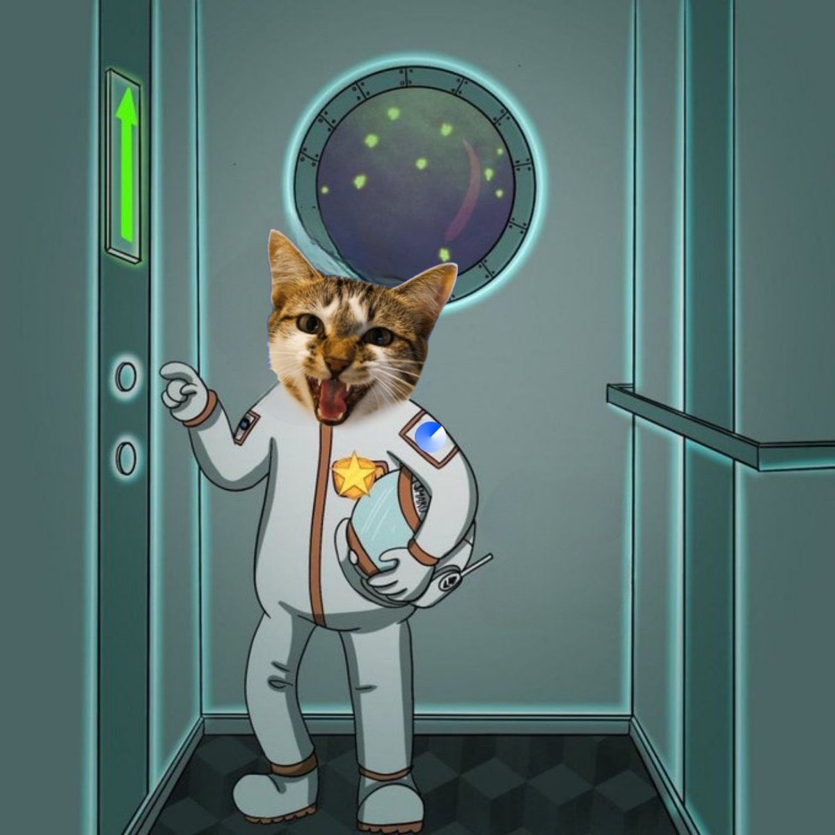 CATS COIN ( $MIAO ) tweet media