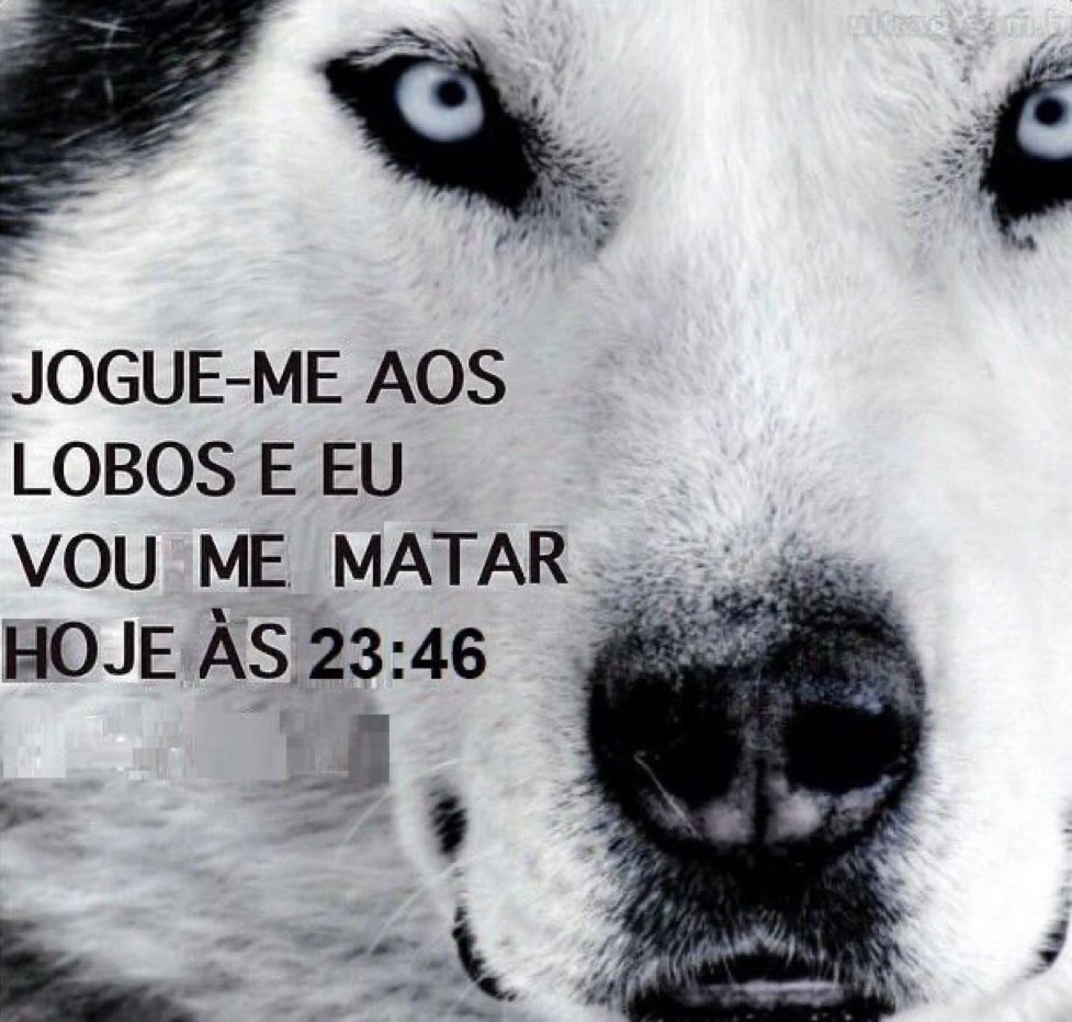 Se você rir, vai pro inferno tweet media