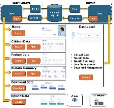 NEIDirector's tweet photo. Tear fluid is a minimally invasive but information-rich biofluid.
#NIHFunded tear proteomics database provides reference protein abundances and linked clinical metadata, supporting biomarker discovery in ocular &amp; systemic diseases. @MCG_AUG
@OUPAcademic:
https://t.co/dWe5o4H9UX https://t.co/38IWFAuQeN