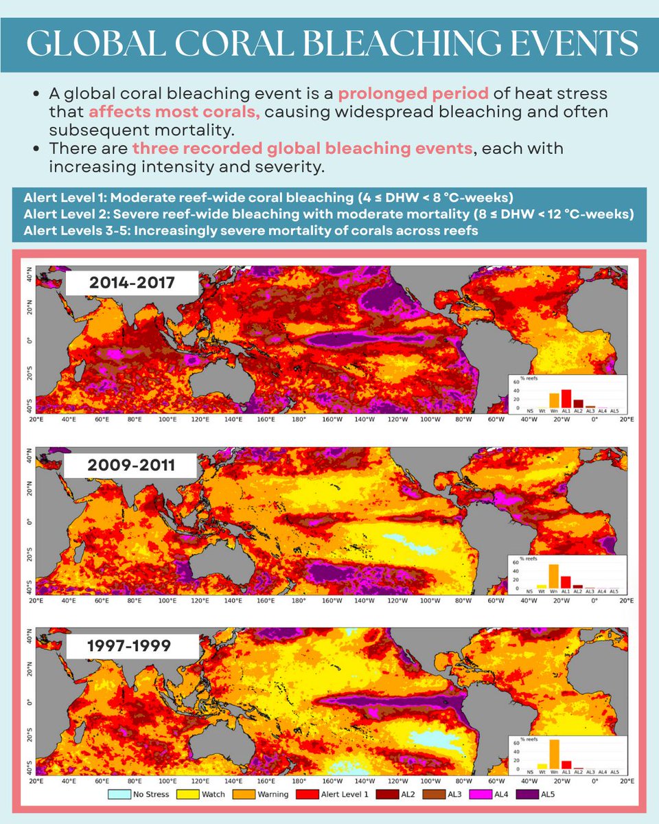 International Coral Reef Society tweet media