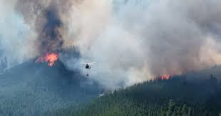 clasicacomodoro's tweet photo. El #Banco del Chubut #reprograma cuotas de #préstamos para #clientes afectados por los #incendios en la cordillera
https://t.co/r9gxZ5jkbA https://t.co/jrTHZkVhTw