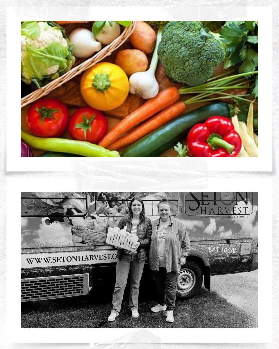 Hummingbirdindy's tweet photo. Urban Seeds is one of three nonprofits we’re honoring at the Annual Hummingbird Luncheon on March 26. Every ticket and sponsorship goes directly to the honorees fighting hunger across Indiana. Join us and fuel their impact! 🌱 https://t.co/WEHRwHQqeC