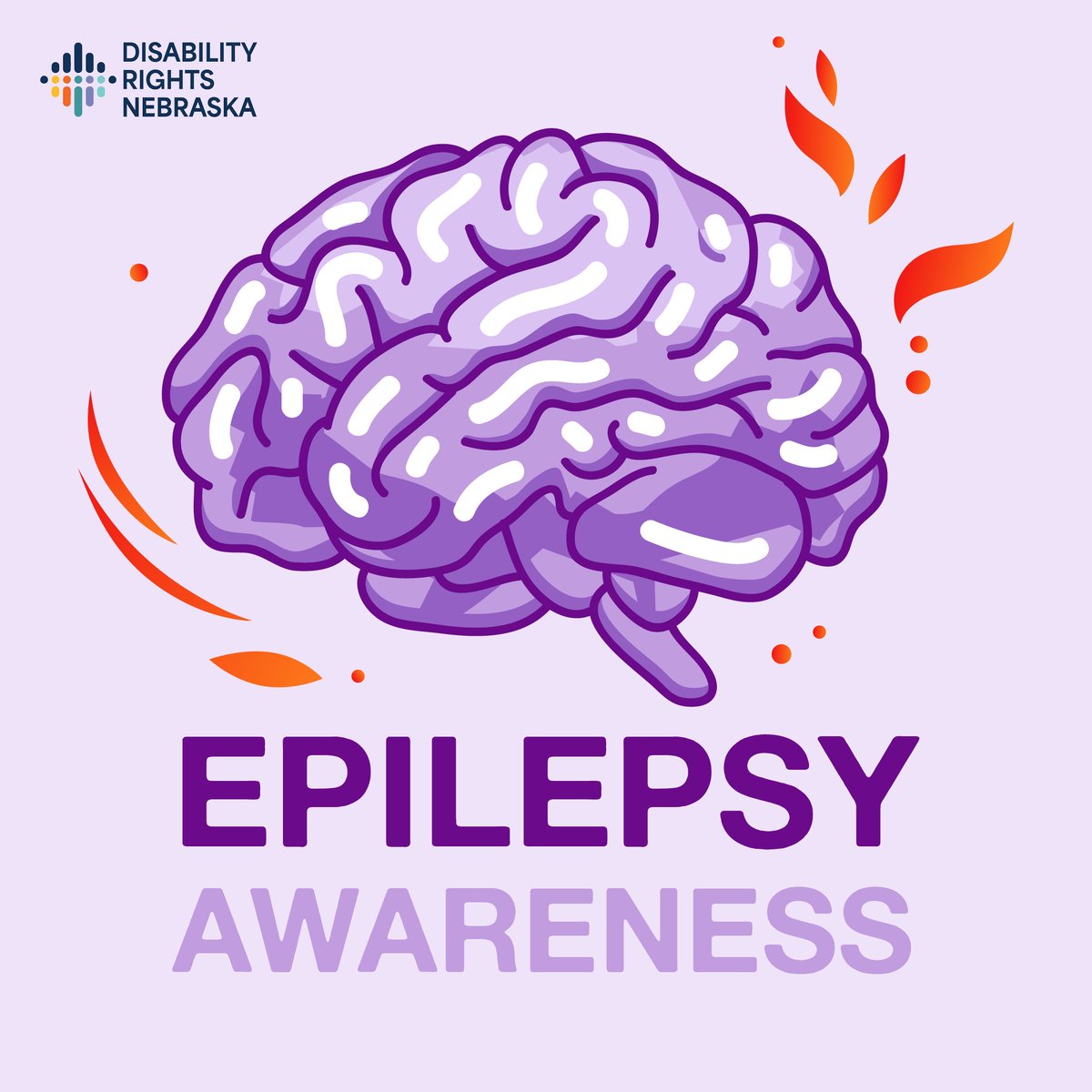 Disability Rights NE tweet media