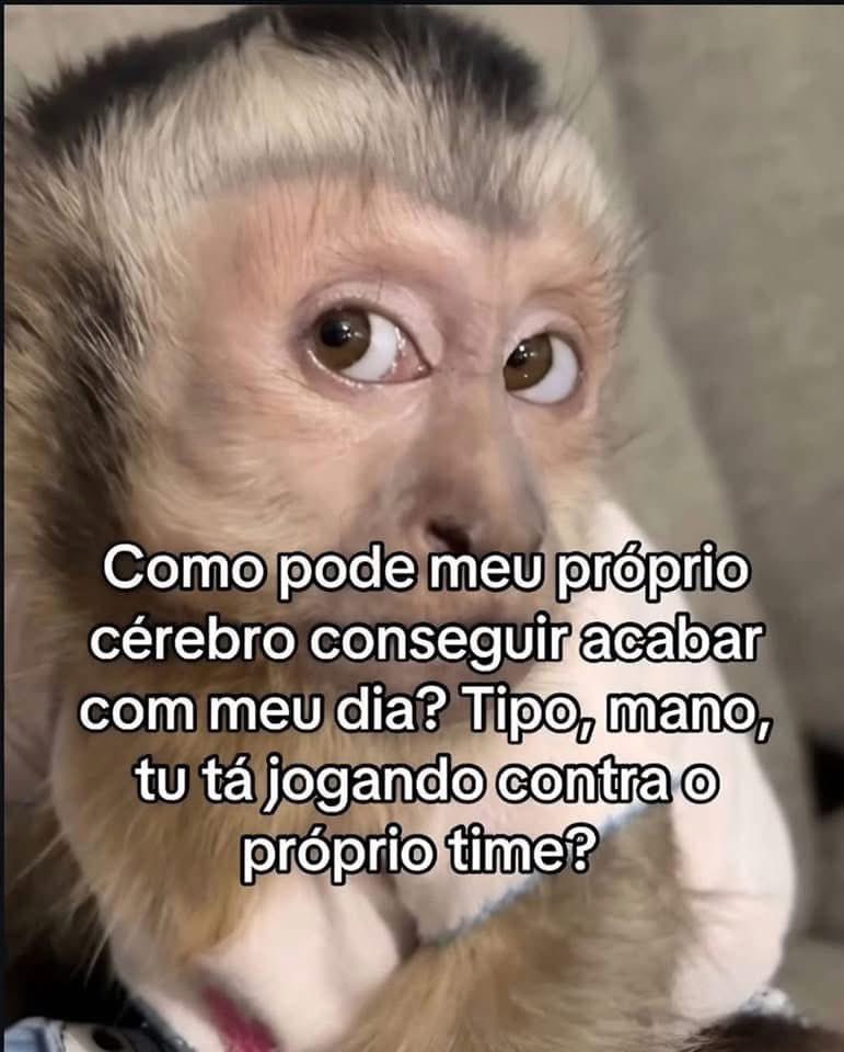 Pagina lixo (@paginalixo1) on Twitter photo 