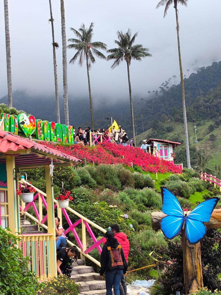 Voice4All 🇨🇴🇪🇸🇨🇷 tweet media