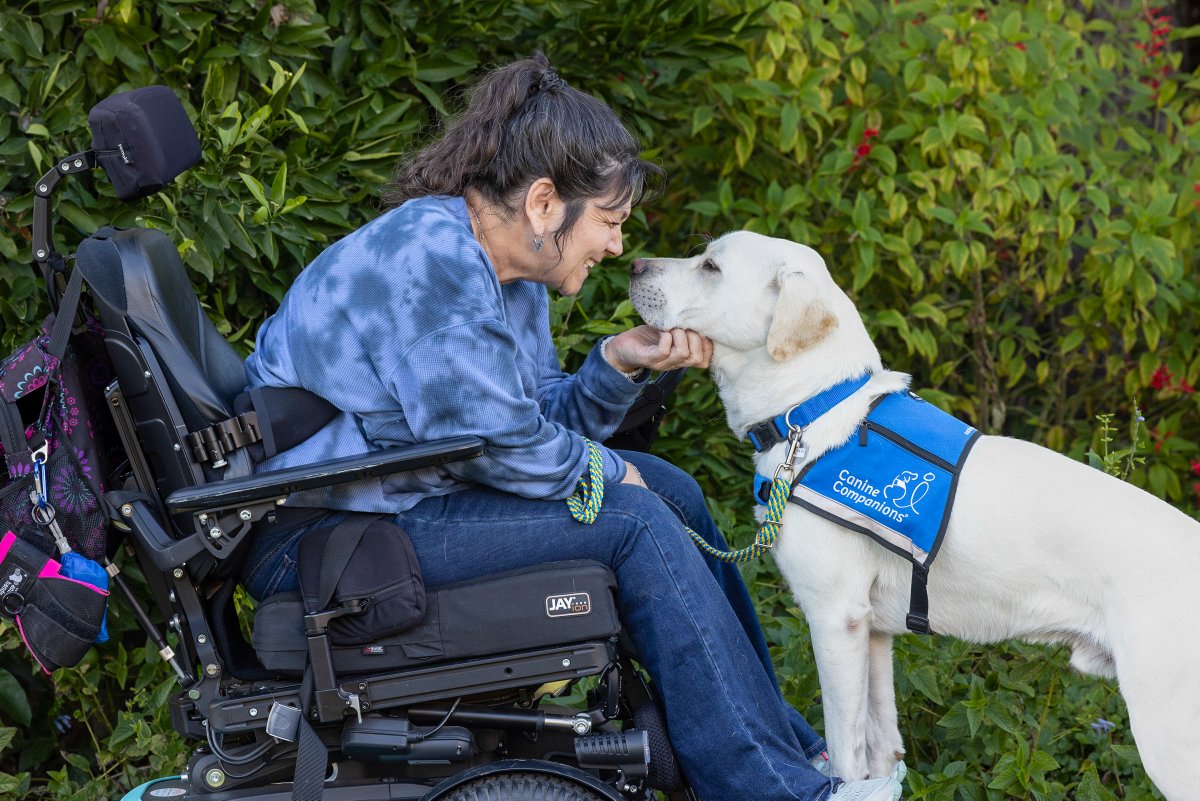 canineorg's tweet photo. Love is in the air! 💕 From puppies to pros, our dogs are embracing love and are ready for #ValentinesDay! 

💗Send your love and make a difference: https://t.co/KOng2cvtt2

#valentines #love #puppy #servicedog #facilitydog https://t.co/XmwcOfmI1u
