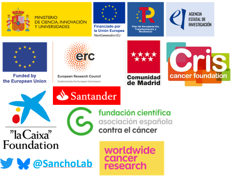 David Sancho tweet media