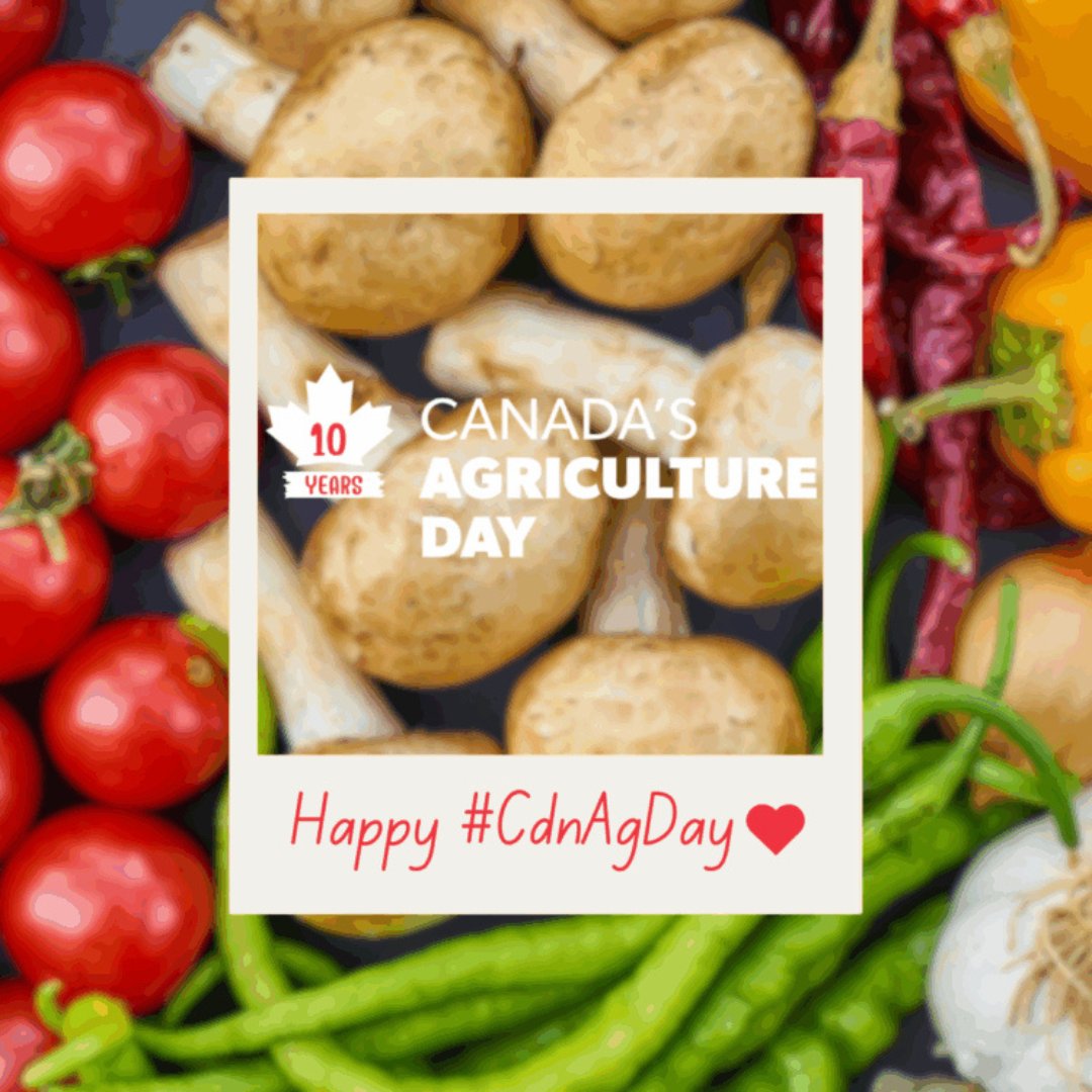 Plant-Based Foods of Canada tweet media