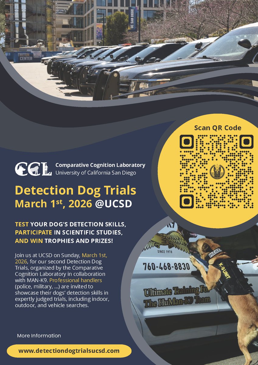 Federico Rossano tweet media