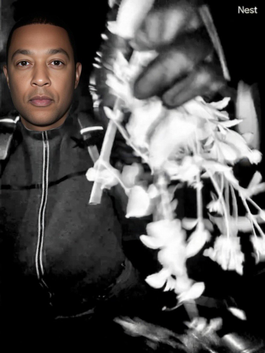 Ai_Took_Ur_Job tweet media