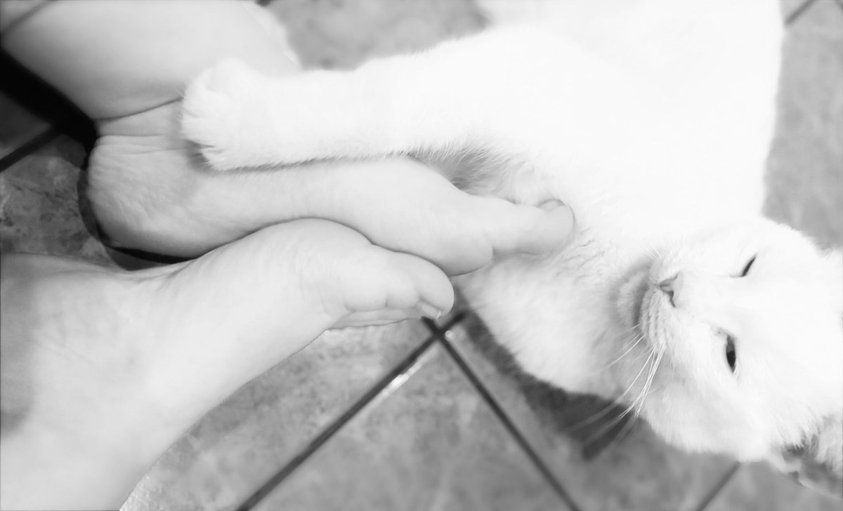 VitiLuxToes's tweet photo. Black and white reveals what touch remembers.
Bare #toes, calm #feet, a shared silence shaped by #feetfetish — held gently in #quietintimacy. https://t.co/wC9Xpgh9gB