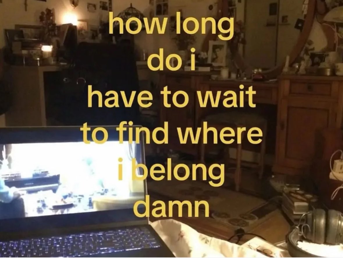 northstardoll's tweet image. 