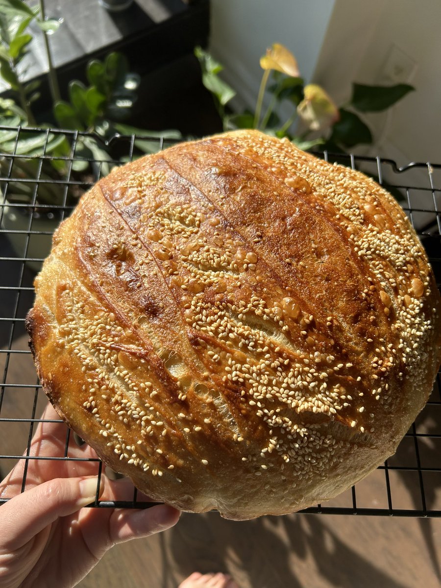isabelunraveled's tweet photo. You can just bake bread and buy flowers and light candles and write in your journal and log off and make your life more beautiful any time you want https://t.co/AX0GAM7yvj
