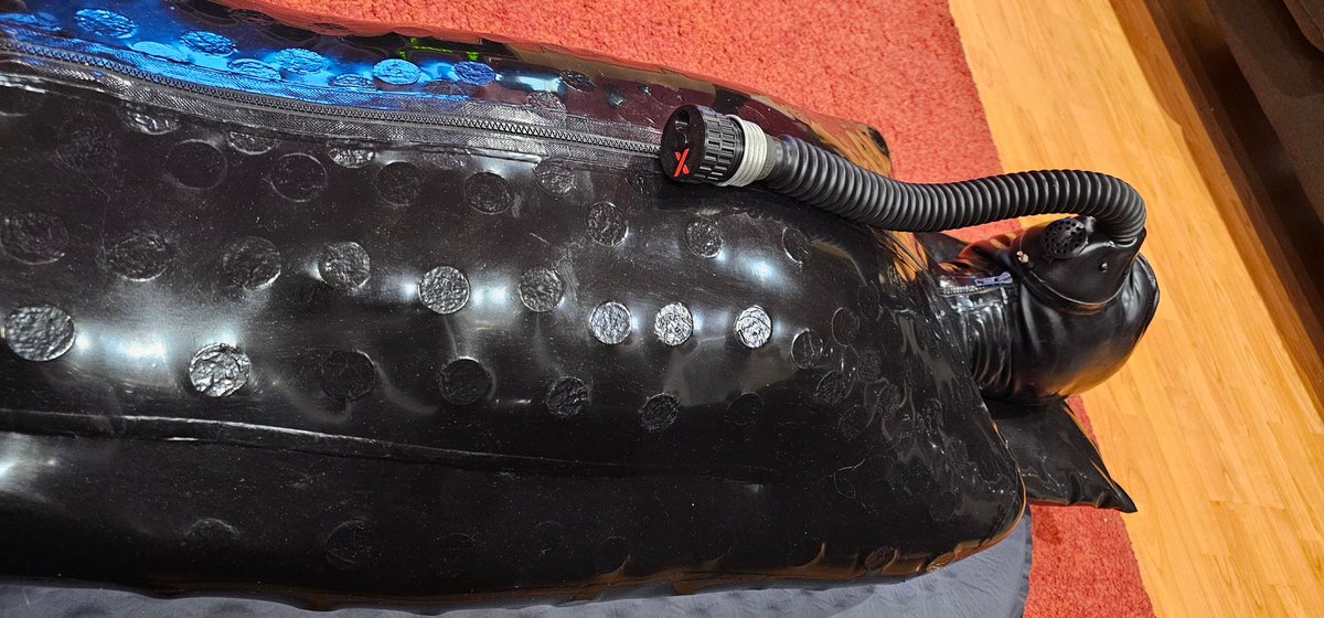 Boundinlatex tweet media