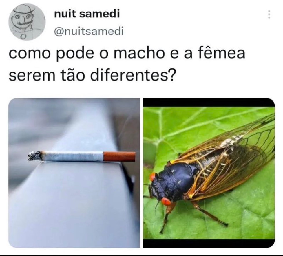 Se você rir, vai pro inferno (@vinoxcitou) on Twitter photo 