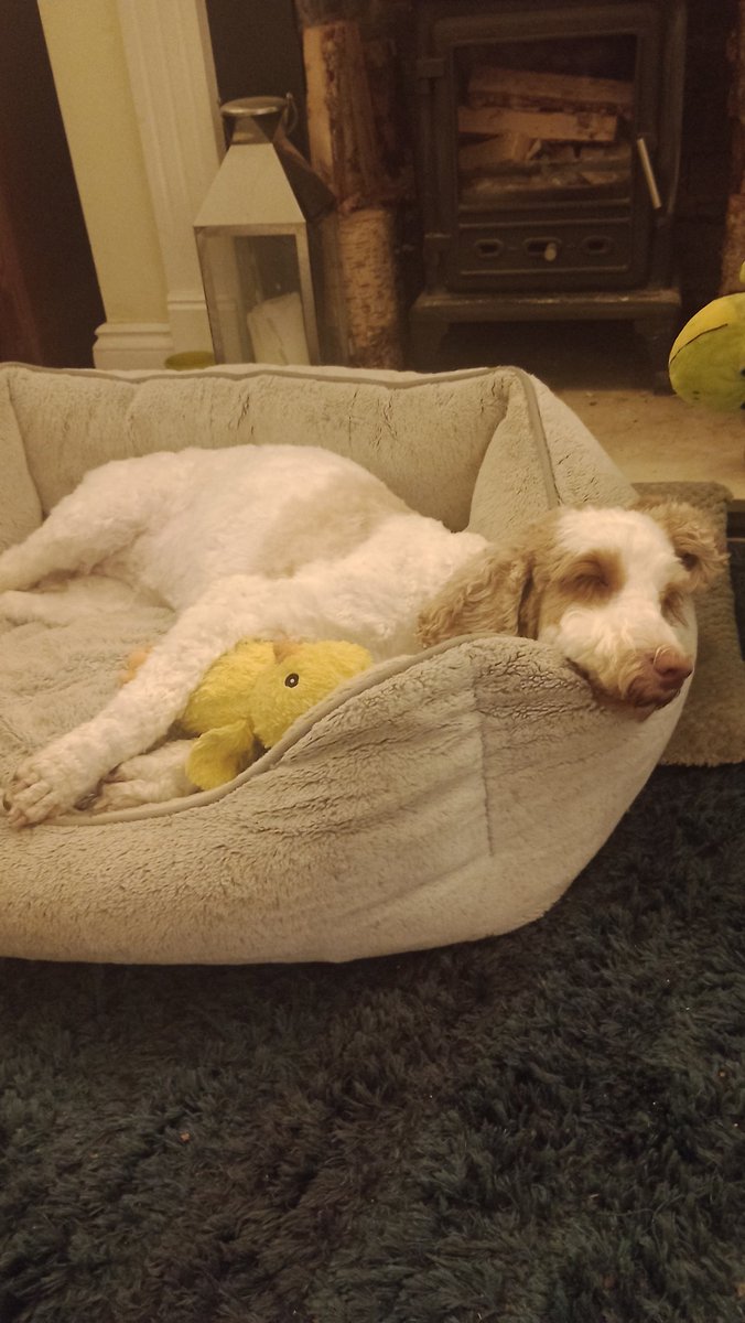 Mark Barden 🇪🇺 tweet media