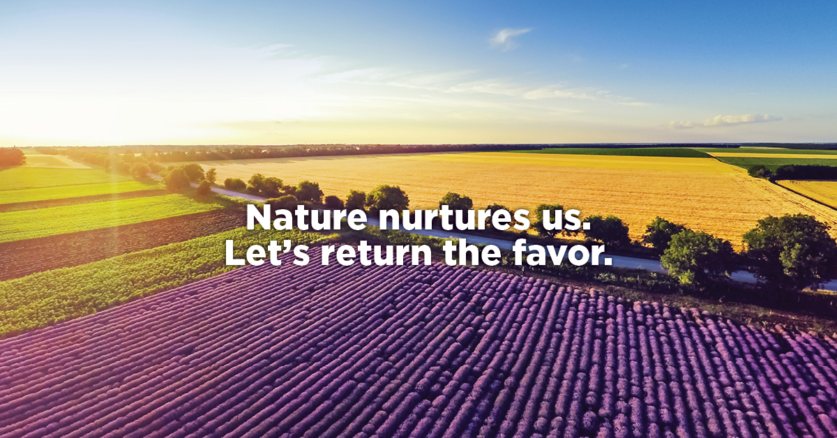 HungryPests tweet media