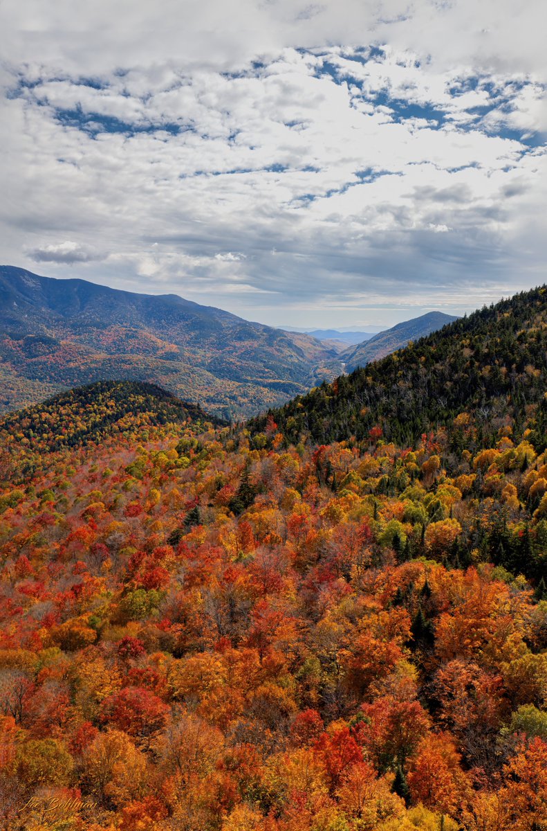 LeeBohlmanPhotography/NFT.NYC 2025 tweet media