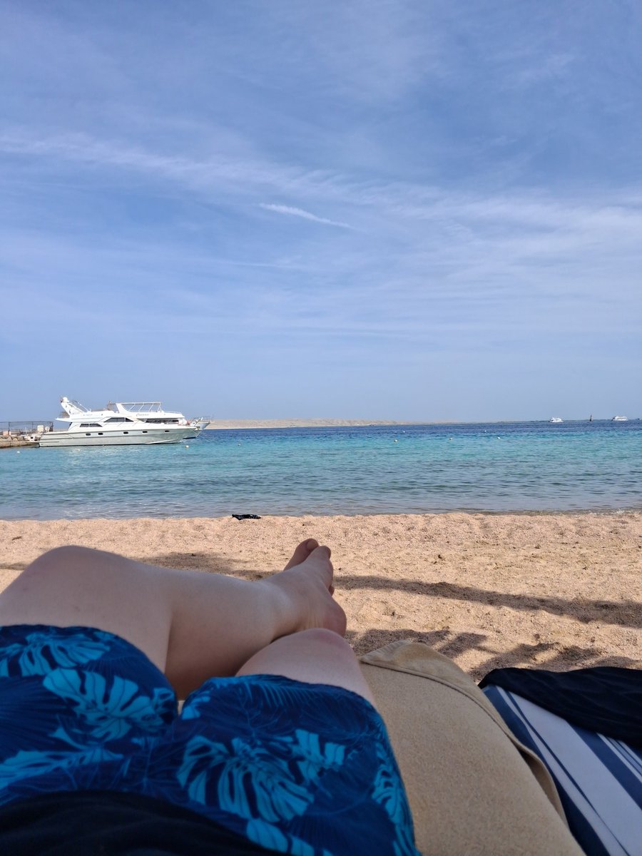 Stinky_Fox_'s tweet photo. Finally, vacation! Time to relax. I love Egypt! https://t.co/AhrFEnTN4a