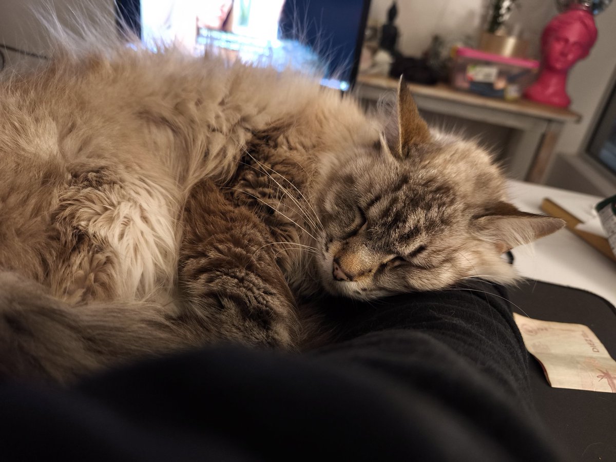 La_de_las_redes tweet media