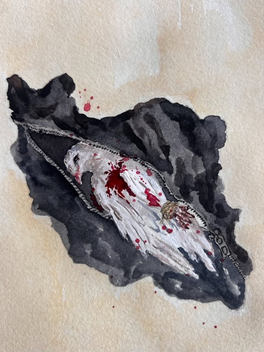 وطن،
پرنده‌ی پر در خون ...
#RoshaErkul