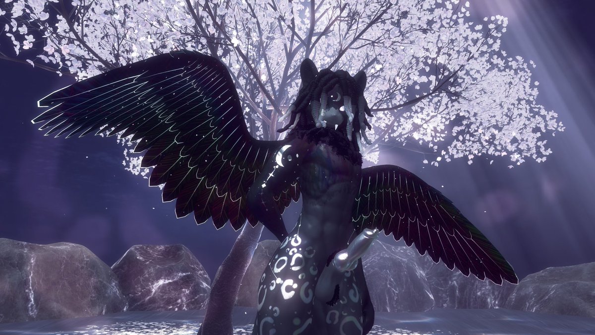 Uncommon Corvid tweet media