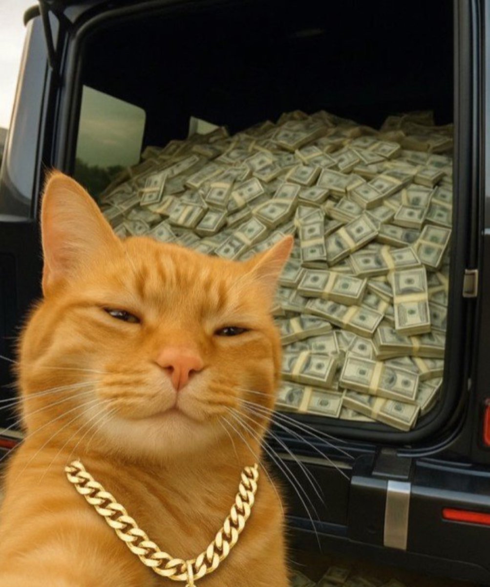 Kaladonus tweet media