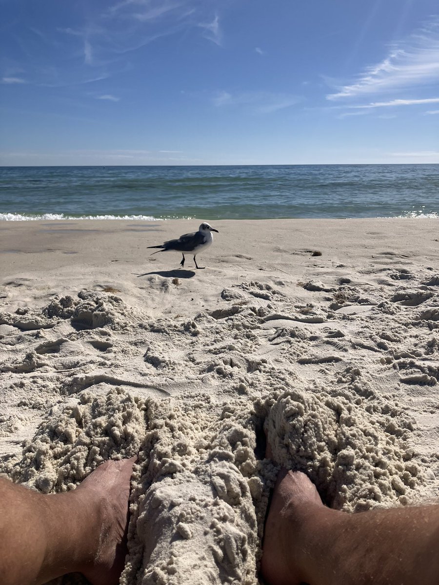 Chris Hilliker (@coach_hilliker) on Twitter photo 