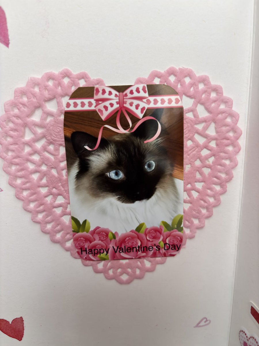 Hugs and smooches to <a href="/NPR57744730/">Zara/NPR</a> 
We love your family &amp; your creative card♥️♥️😘Ari &amp; Cali💋♥️♥️