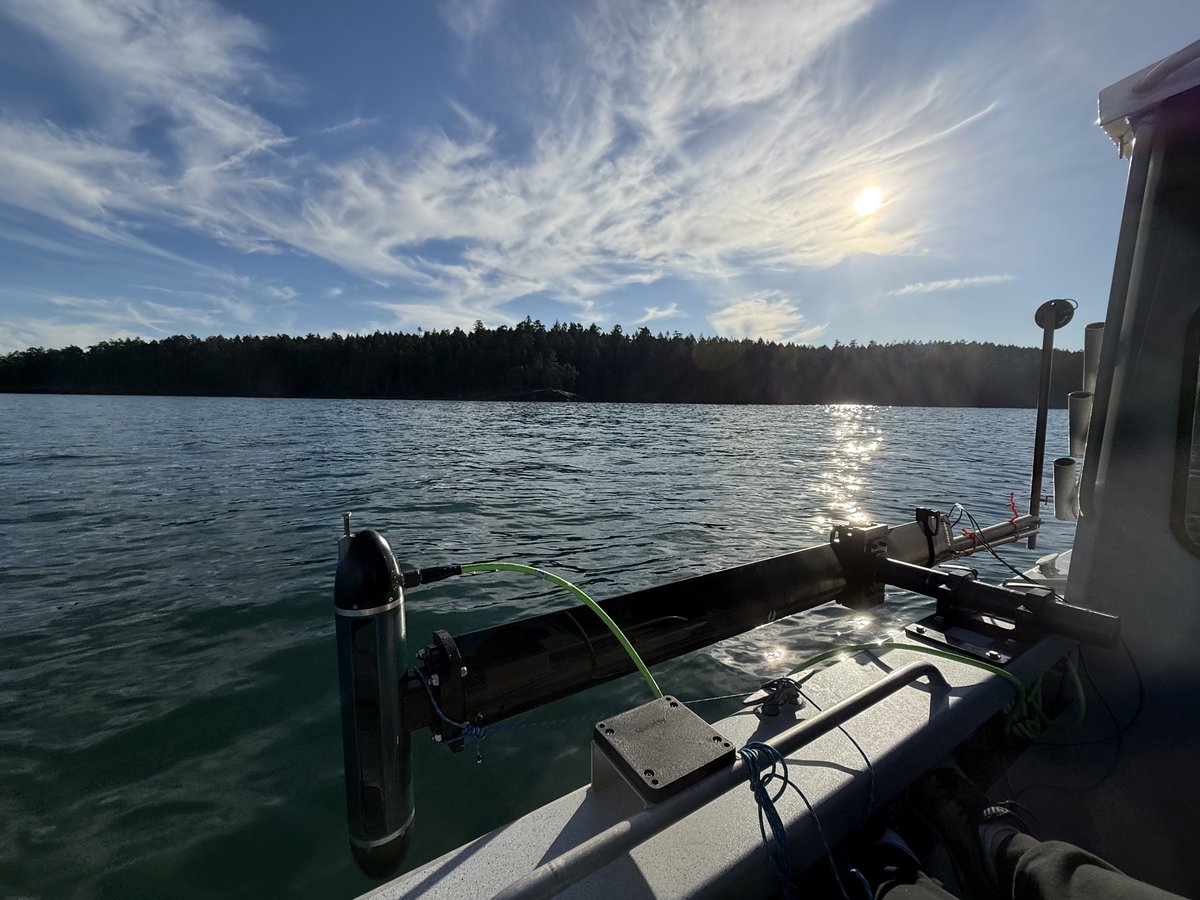 Ping DSP Inc. tweet media