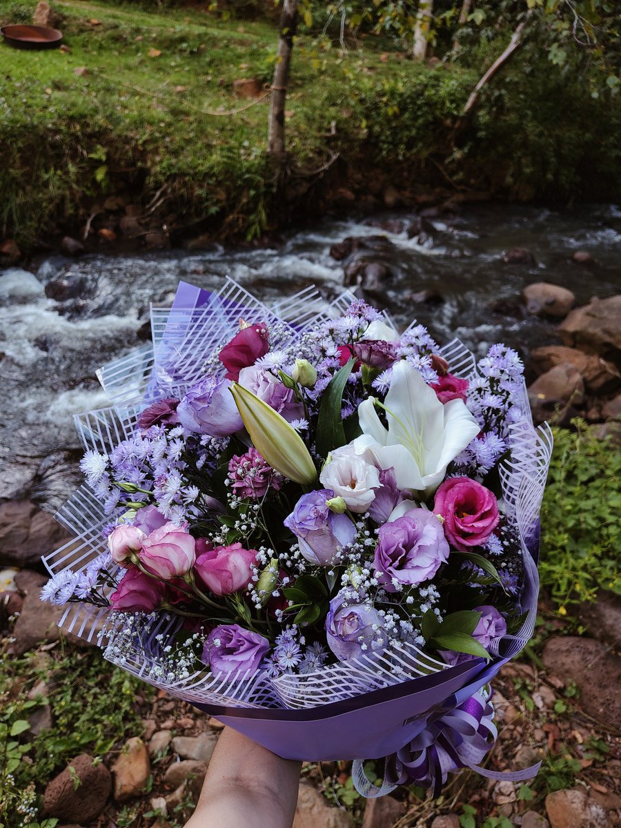 Isalgolfe tweet media