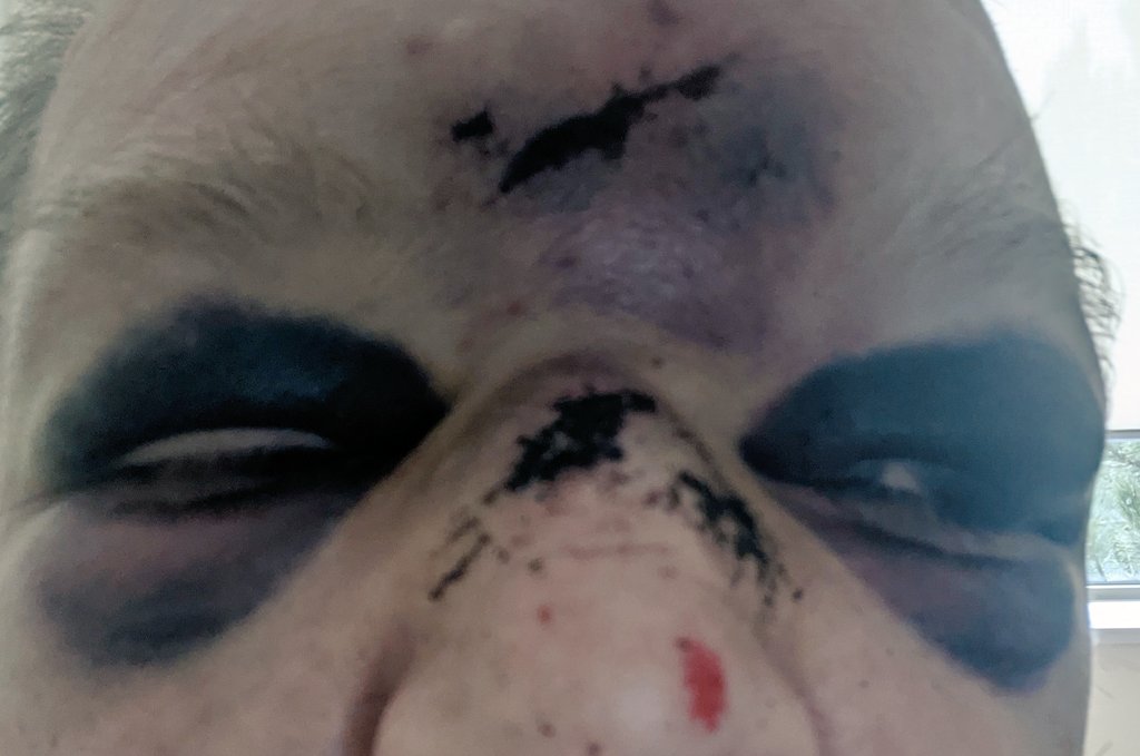 Xander 🇨🇦 tweet media