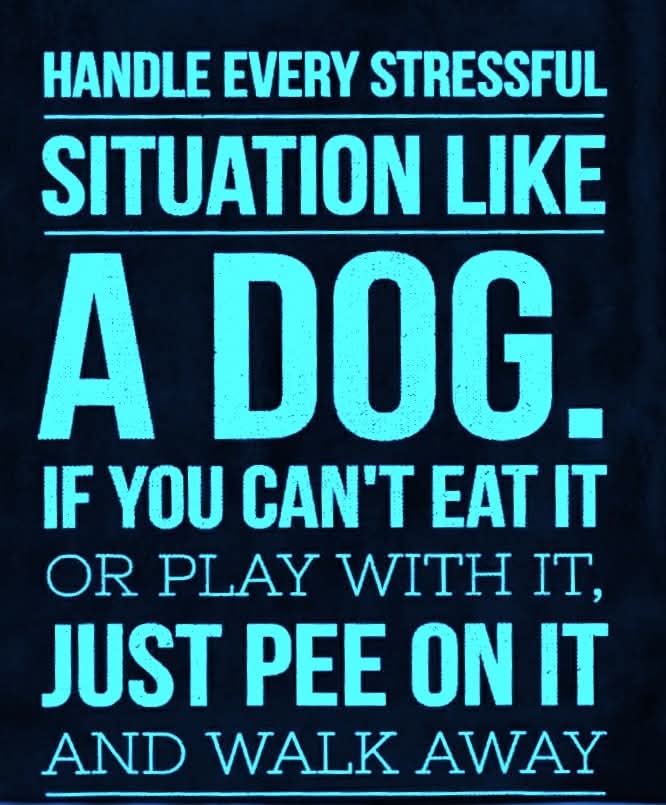 SToThinkA's tweet photo. Here is some fun advice for you 😉

#somethingtothinkabout #lol #humor #life https://t.co/rRQxWUPPol