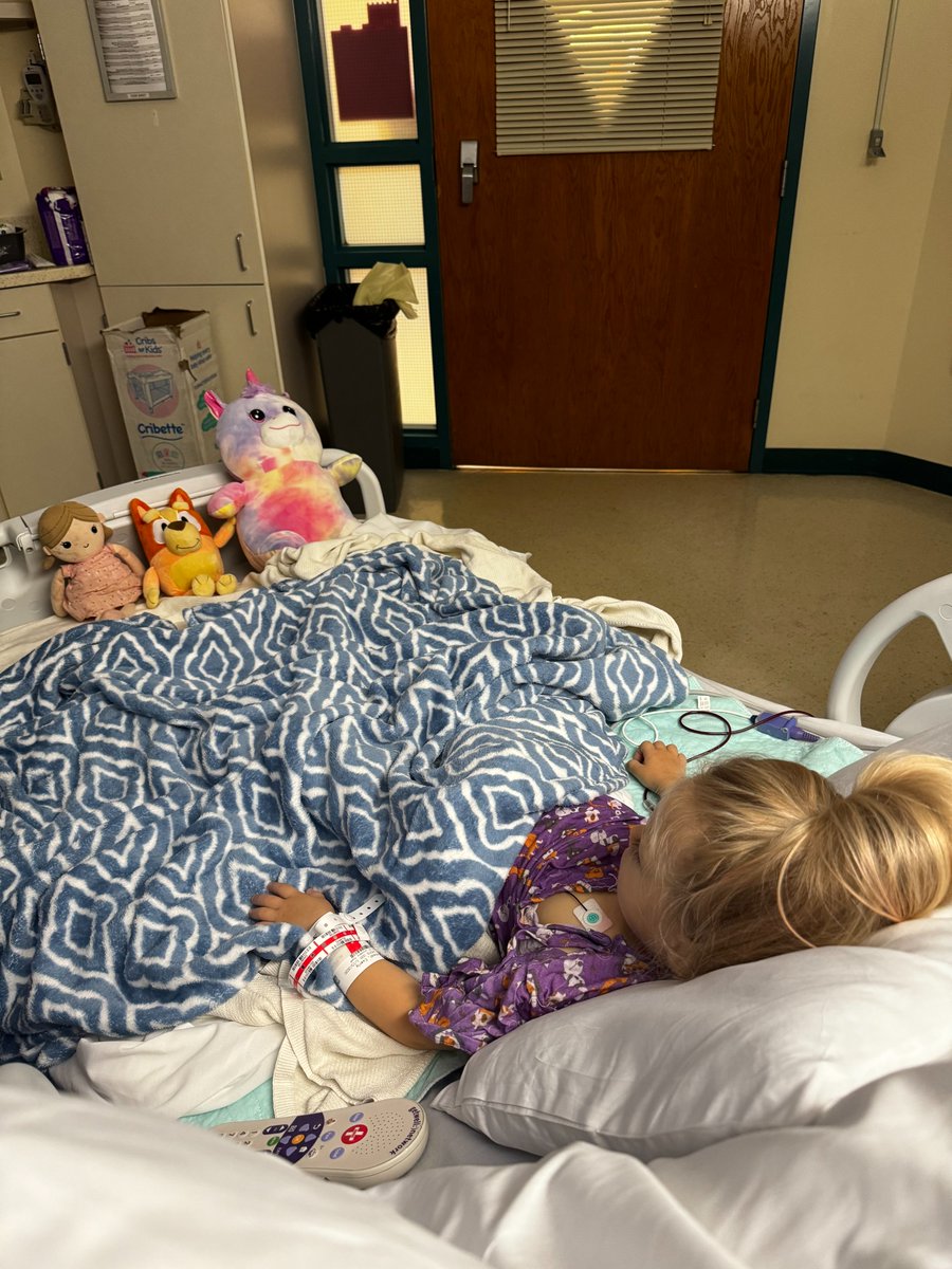 American Red Cross tweet media