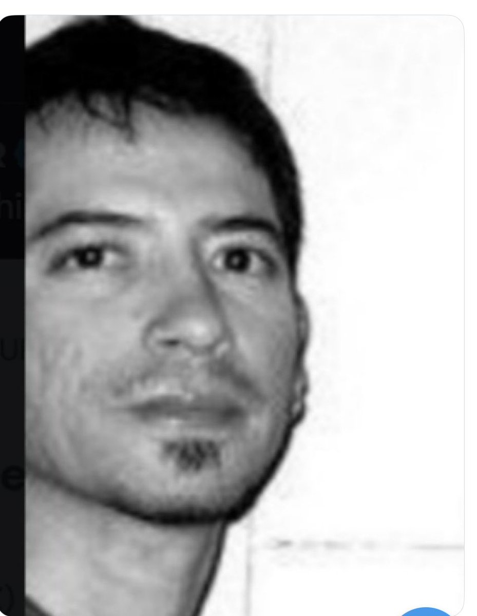 <a href="/PaulDMauro/">Paul Mauro</a> <a href="/re88465915/">God bless the USA! 🇺🇸🙏</a> This band member. The brows and goatee. He could quite possibly have a thicker mustache now