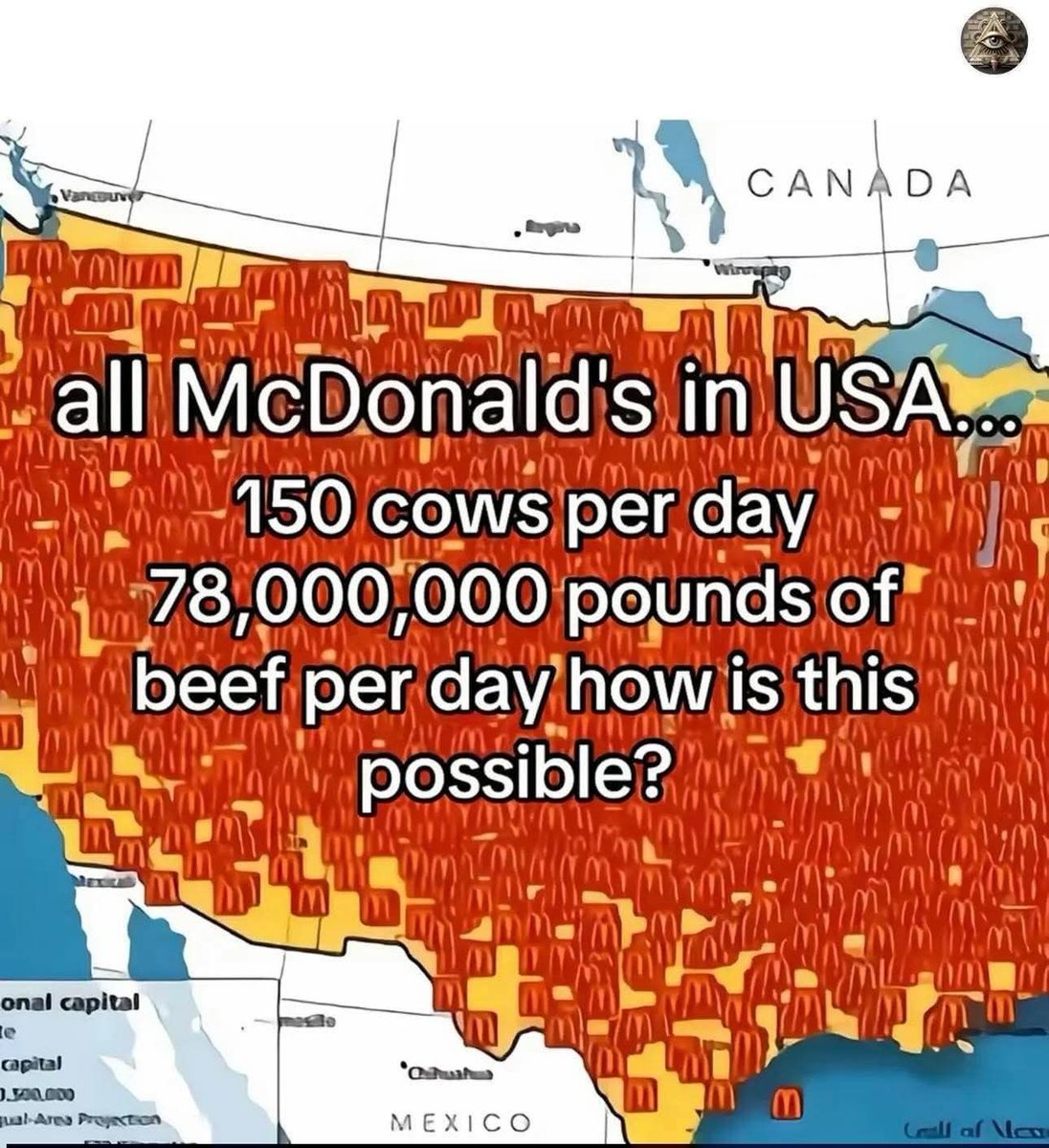 DavidWolfe's tweet image. 