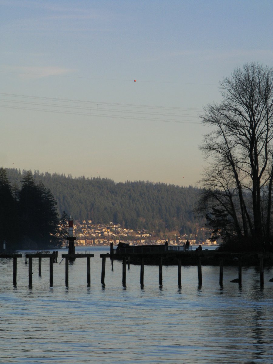 분명 같은 지구인데 느낌 다른 거 너무 좋다

설정값이 기억은 안나는데 아마 화뱉이 다른듯??

📸캐논 파워샷 G9