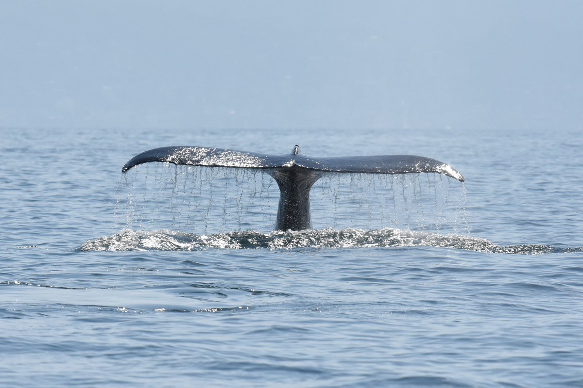 Tim Jukes tweet media