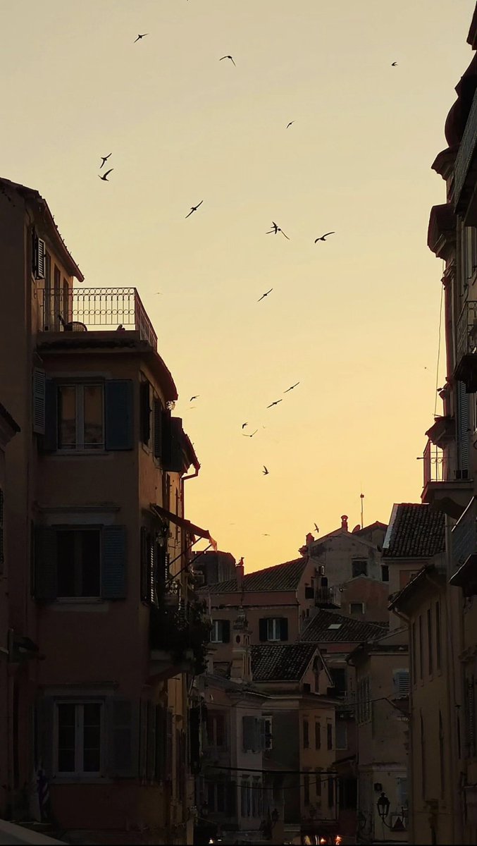 Lux_is_Back's tweet image. Λοιπόν ακούστε με. 
Αν θέλετε να γνωρίσετε την πραγματικά παραμυθένια Κέρκυρα δεν θα πάτε Πάσχα ,ούτε καλοκαίρι. Θα πάτε άσχετη εποχή.Οκτωβρη, Νοέμβρη, Μάρτη,όχι σε γιορτές. Αν θέλετε να την ευχαριστηθείτε &amp;amp; να τραβήξετε φωτογραφίες σαν αυτές που έβγαλα εγώ το Νοέμβριο 😋 #Corfu