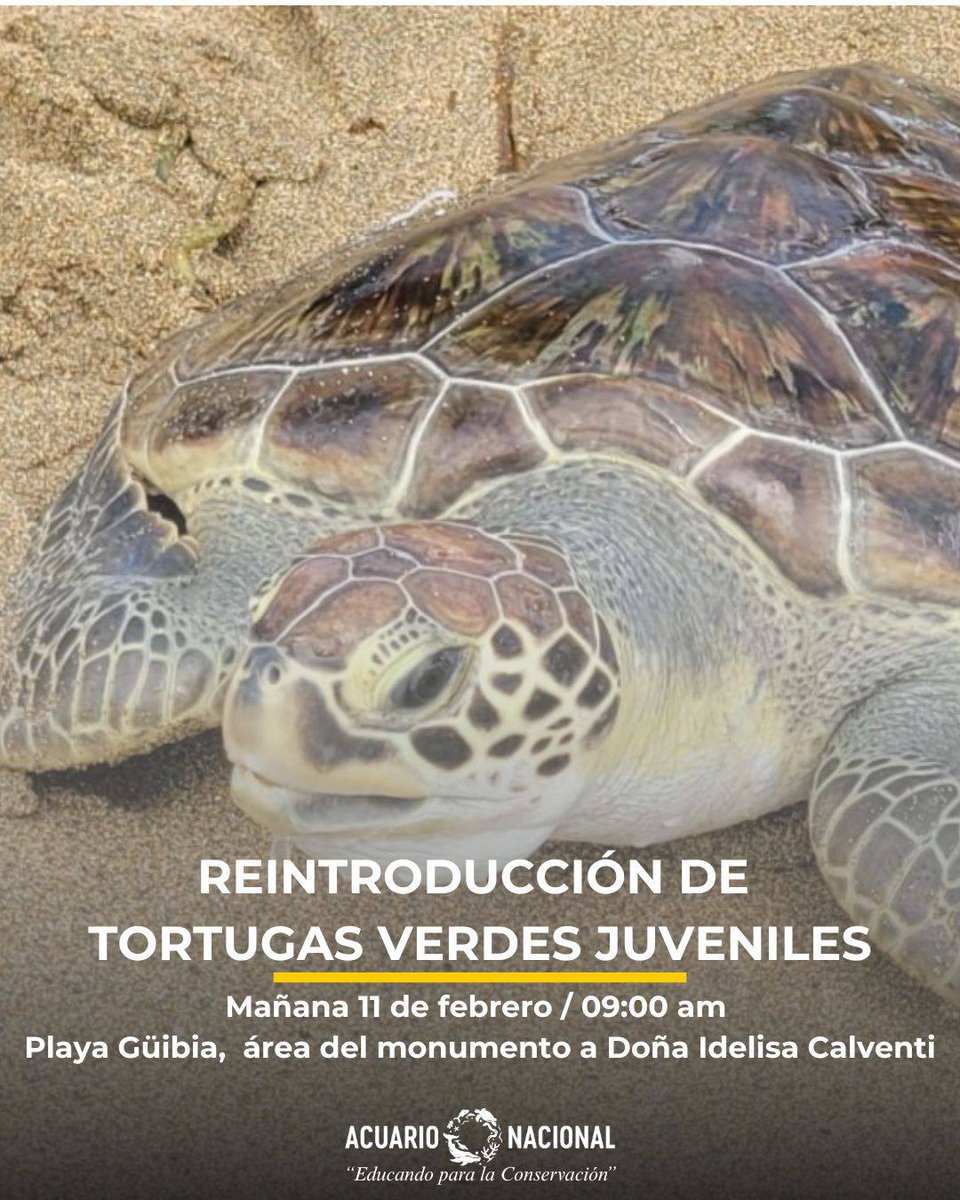 Acuario Nacional RD tweet media