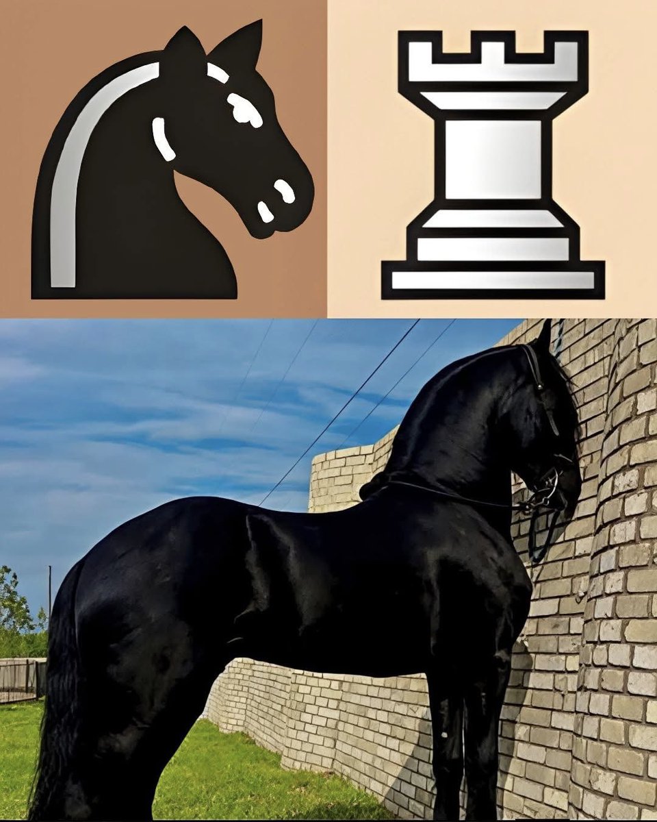 Chess Feed tweet media