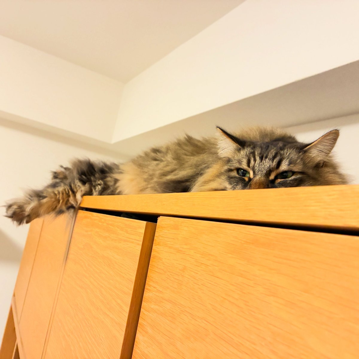 おはようございます 🔆 覗き見あお🫣 今日10℃？🫢 日曜日17