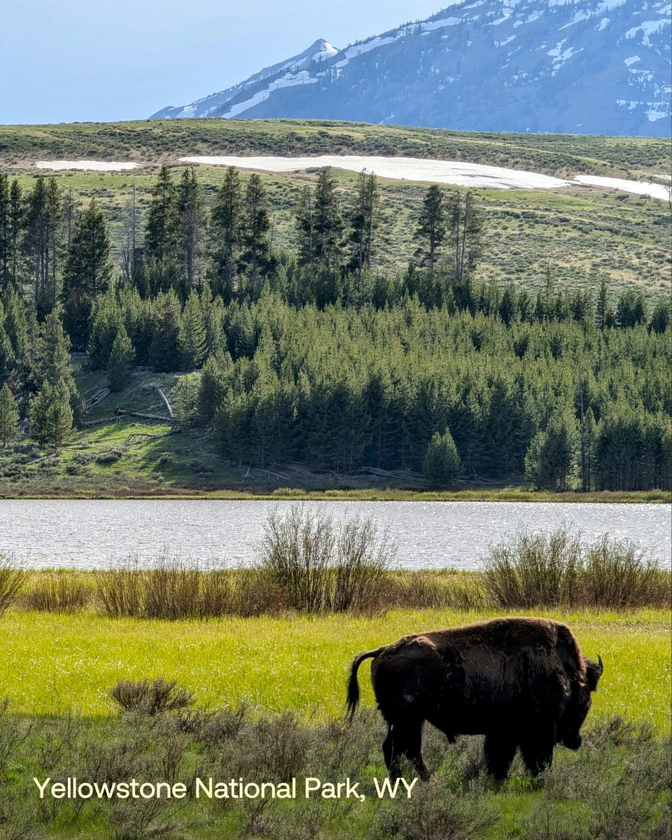 Good Sam tweet media